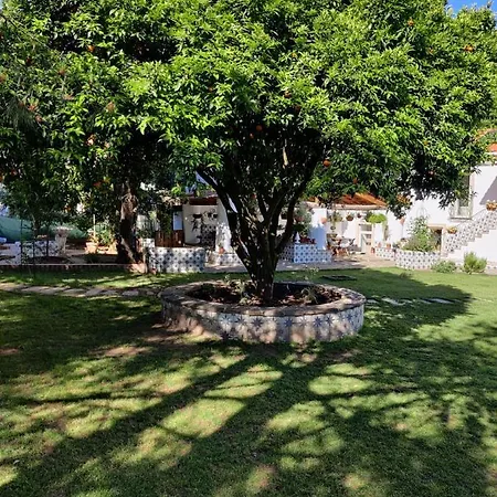 Casa Da Estrela Lousã